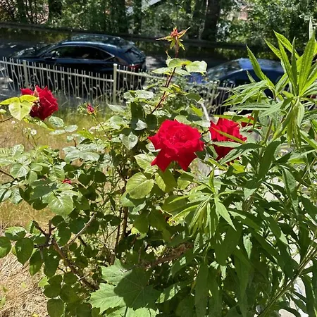 Apartamento Oaza Spokoju