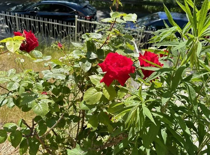 Apartmán Oaza Spokoju