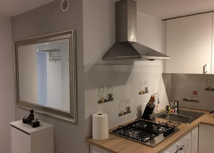 Oaza Spokoju 公寓 *